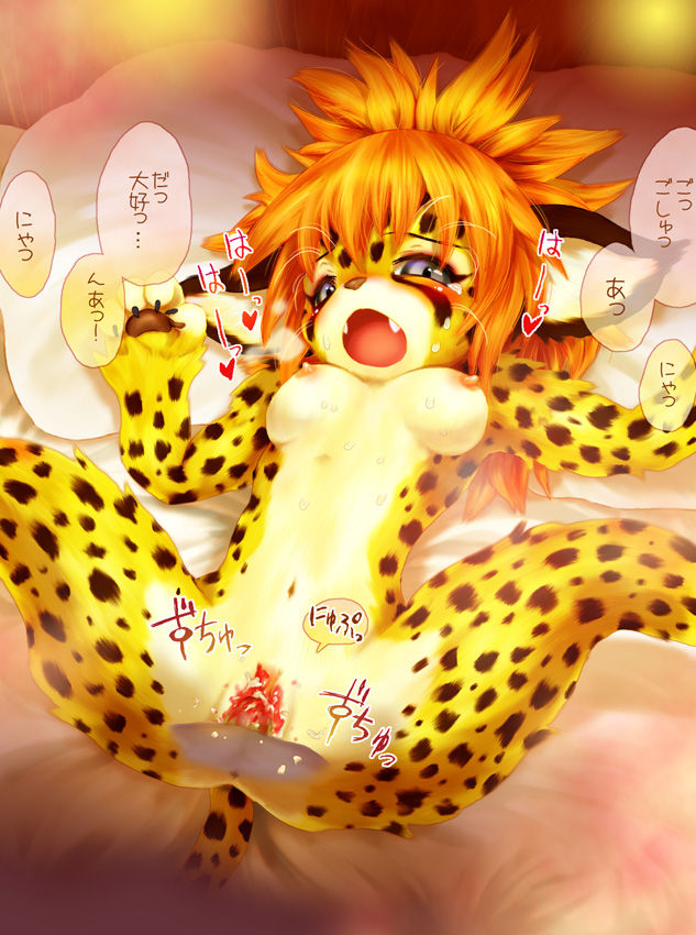 furry pics 01 page 7 full