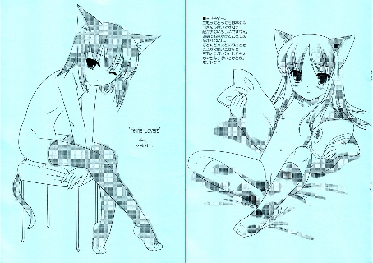 - Feline Lovers page 1 full