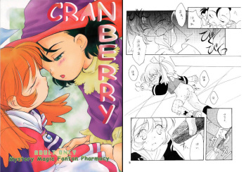 CRANBERRY cover