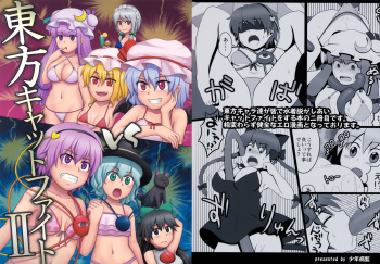 Touhou Catfight II cover