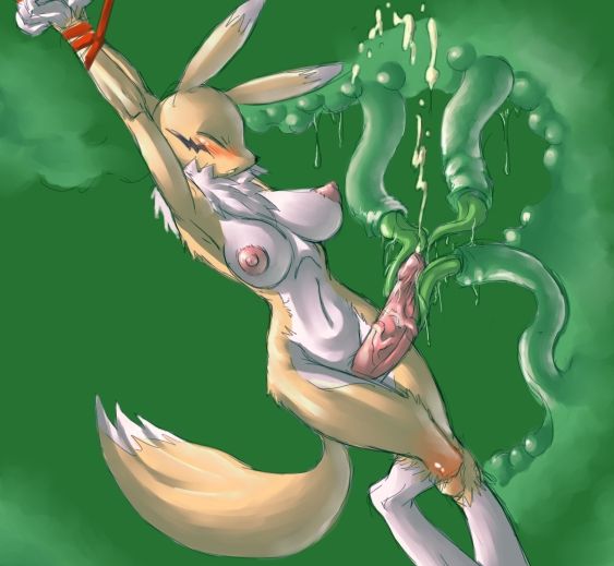 renamon my favorite image page 10 full