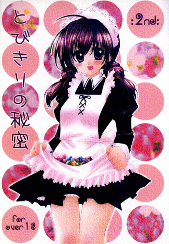 Tobikiri no Himitsu 2 cover