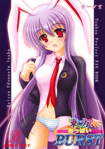 Touhou Oppai BURST cover
