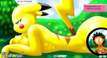 Pikawoo cover