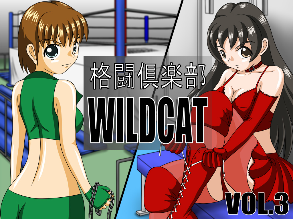 Fight Club WILDCAT Vol.3 page 1 full