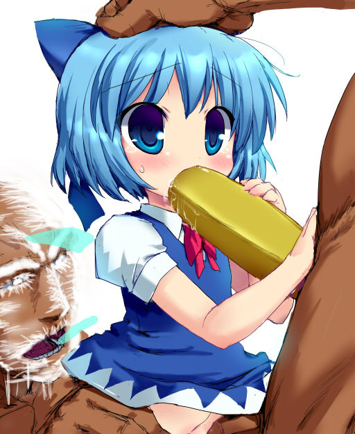 Cirno non-h Gallery 2 page 8 full