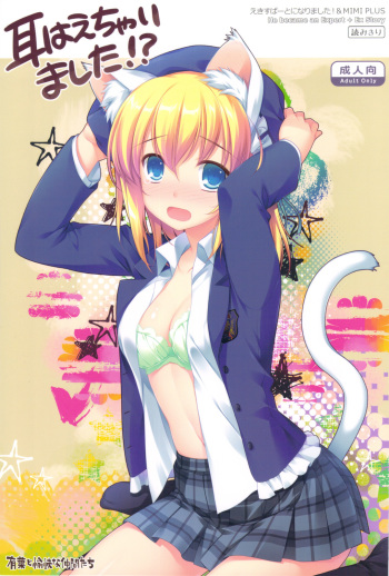 Expert ni Narimashita! &amp; MIMI PLUS Mimi Haechaimashita!? cover