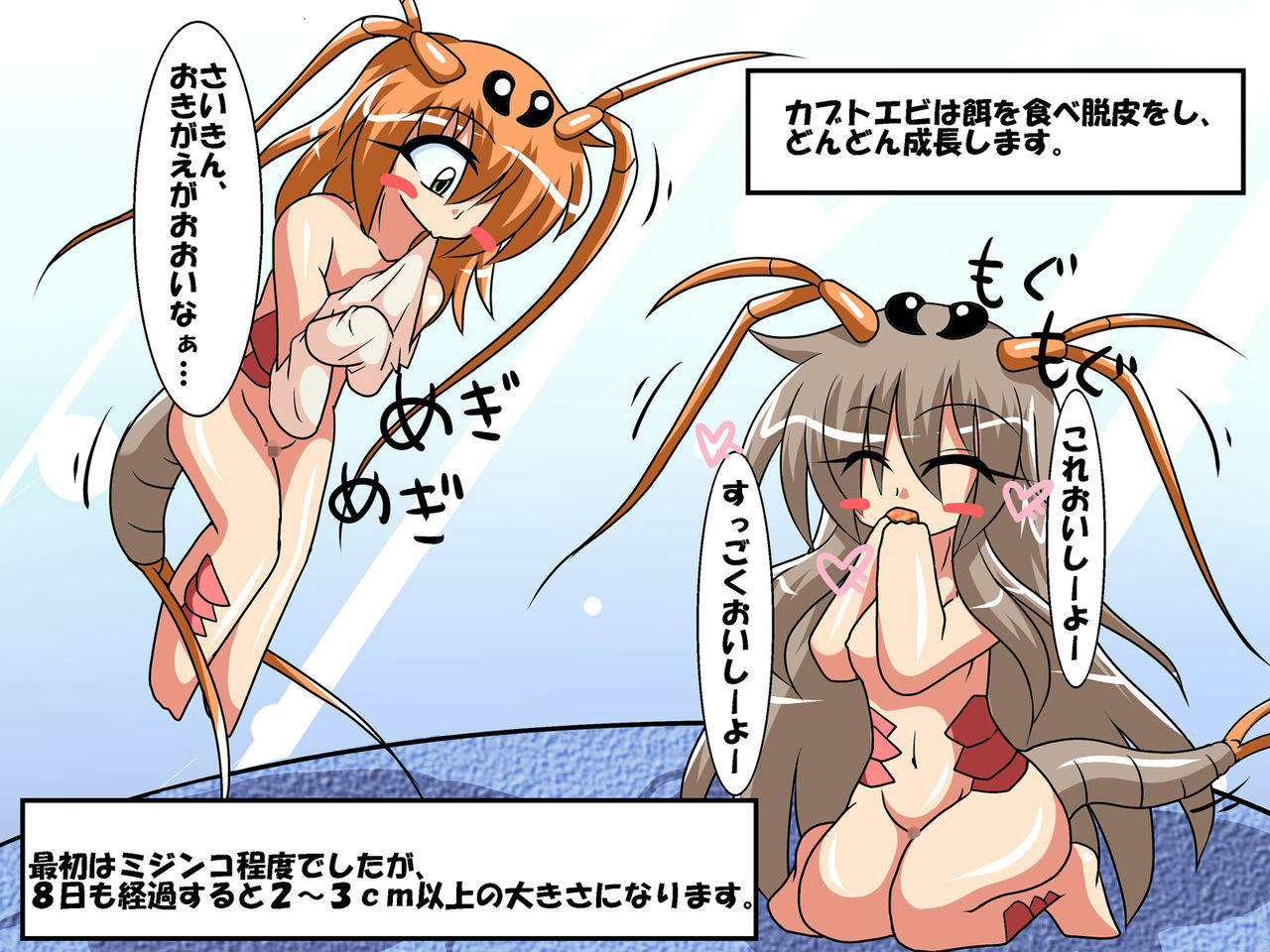 Kabutoebi Shiiku Nikki ～Tamago kara Botebara Sanran made～ page 10 full