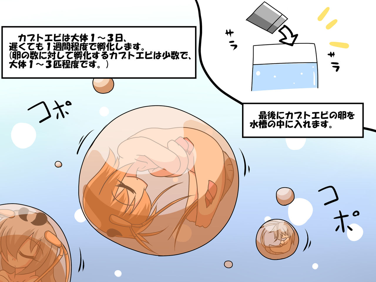 Kabutoebi Shiiku Nikki ～Tamago kara Botebara Sanran made～ page 6 full