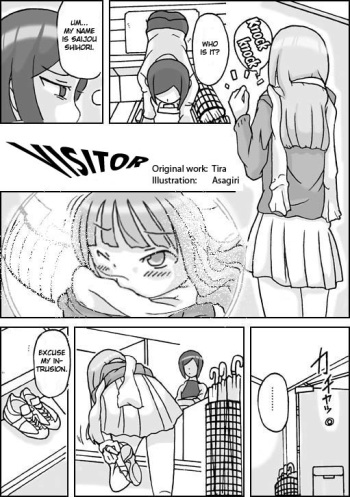 Visitor english cover