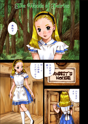 The Woods of Fairies ~Yousei no Mori~ cover
