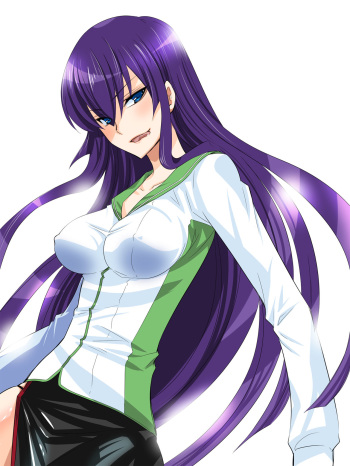 Highschool of the Dead Babes cover
