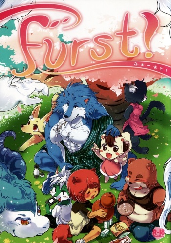 Furst cover