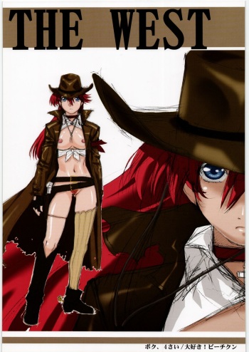 THE WEST cover