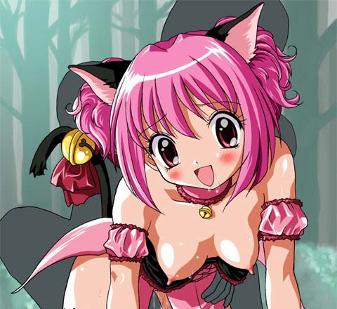 CG Colection page 7 full