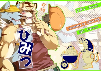 Himitsu cover
