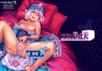 Touhou Terebisan cover