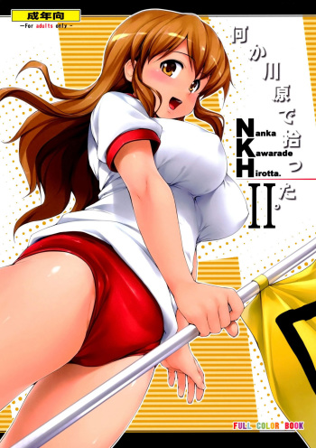 NKH II Nanka Kawarade Hirotta 2 cover