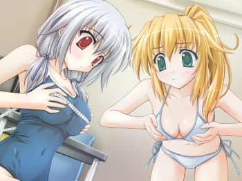 Ecchi-hentai wallpapers cover