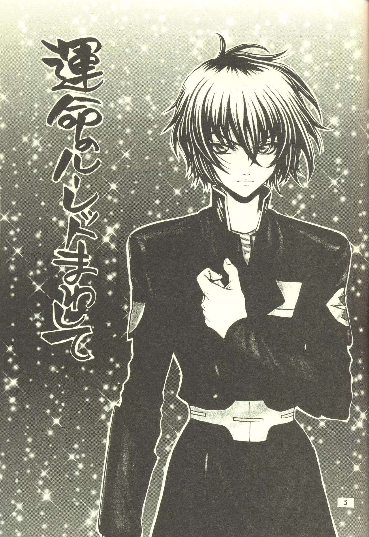 Gundam Seed Destiny DJ Unmei no Roulette Mawashite page 3 full
