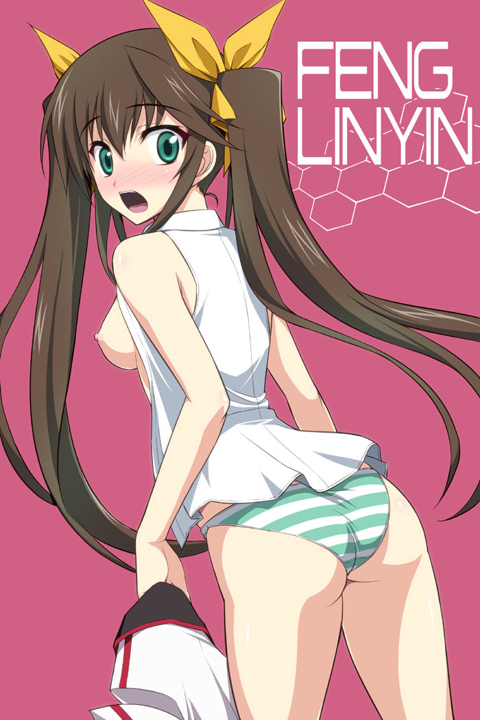 Infinite Stratos Hentai Images page 5 full