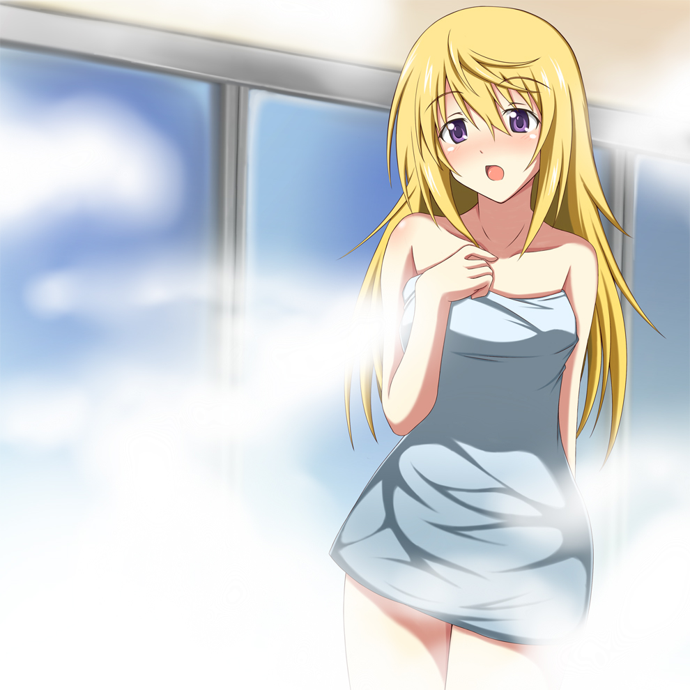 Infinite Stratos Gallery page 1 full