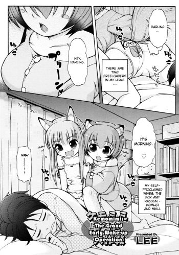 Kemomimi Hayaoki Daisakusen cover