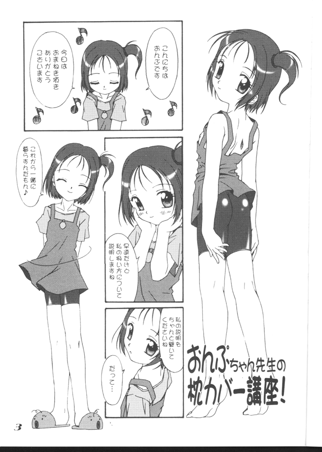 - CHARACTER PILLOWCOVER 005 page 3 full