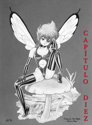 Bondage Fairies The Original Cap. 10 cover