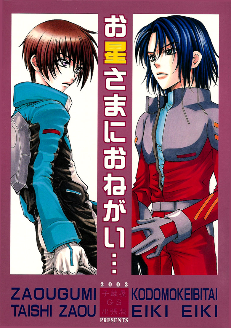 Gundam Seed DJ Ohoshisama ni Onegai page 1 full