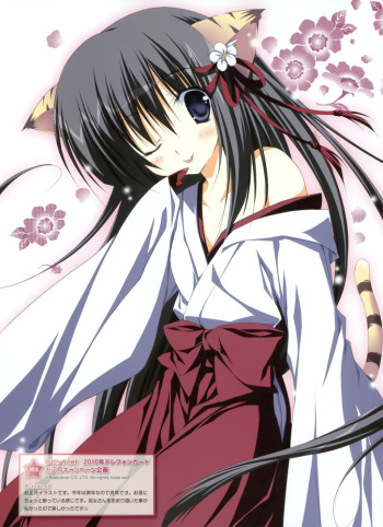 miko collection cover