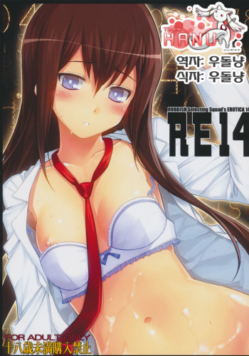 RE 14 cover