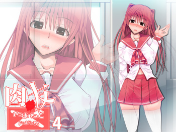 Nikutomo Tamane to Tamarare 4 cover