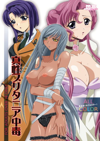 Shinsei Britannia Chudoku Special cover