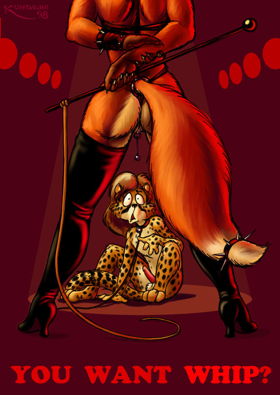 Some Funny Furry Pics page 5 full