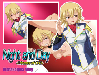 Night and Day -Princess of ORB- cover