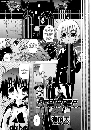 Red Drop ~ Shinku no Hitoshizuku | Red Drop - Spitfire Gaiden cover