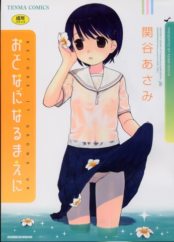 Otona ni Naru Mae ni - Before It Grows Up cover