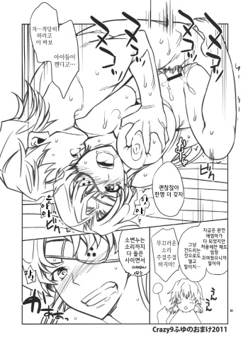 Fuyu no Omake 2011 cover