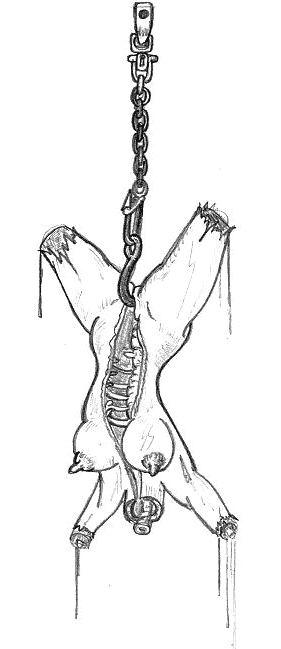 Canibalism &amp; torture page 8 full