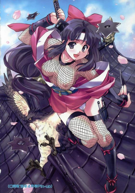 2x2 Shinobuden H Gallery page 3 full