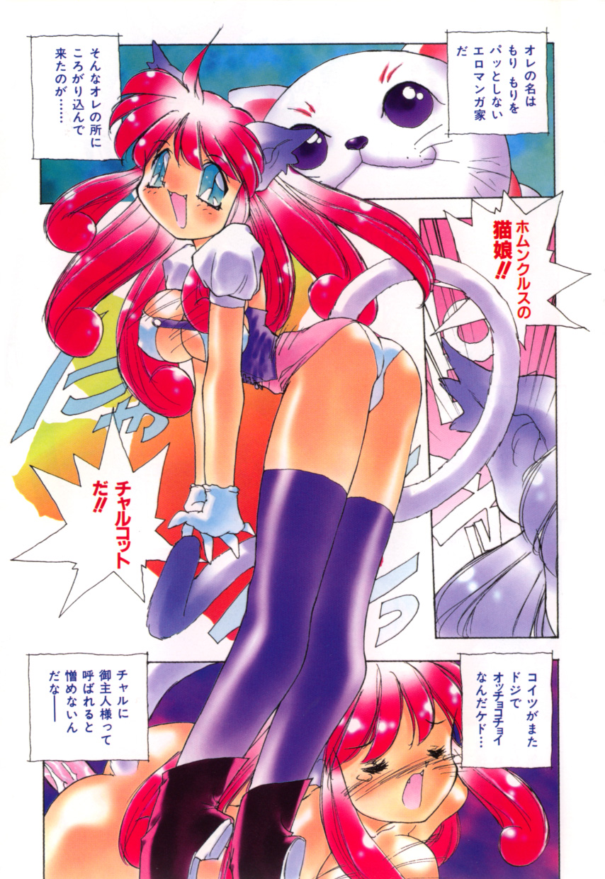 Totsuzen! Cat tale EX page 5 full