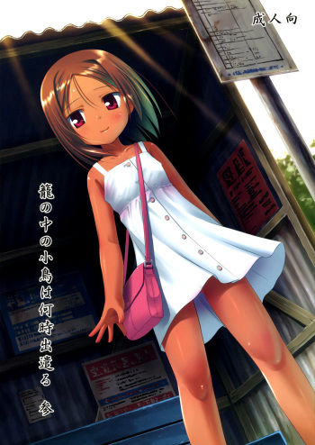 Kago no Naka no Kotori wa Itsu Deyaru 3 cover