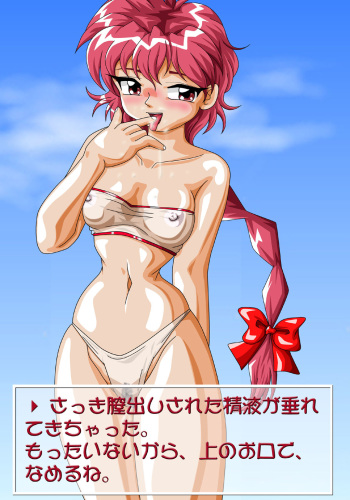 3shoku Dama 13 cover