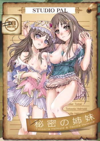 Himitsu no Shimai cover