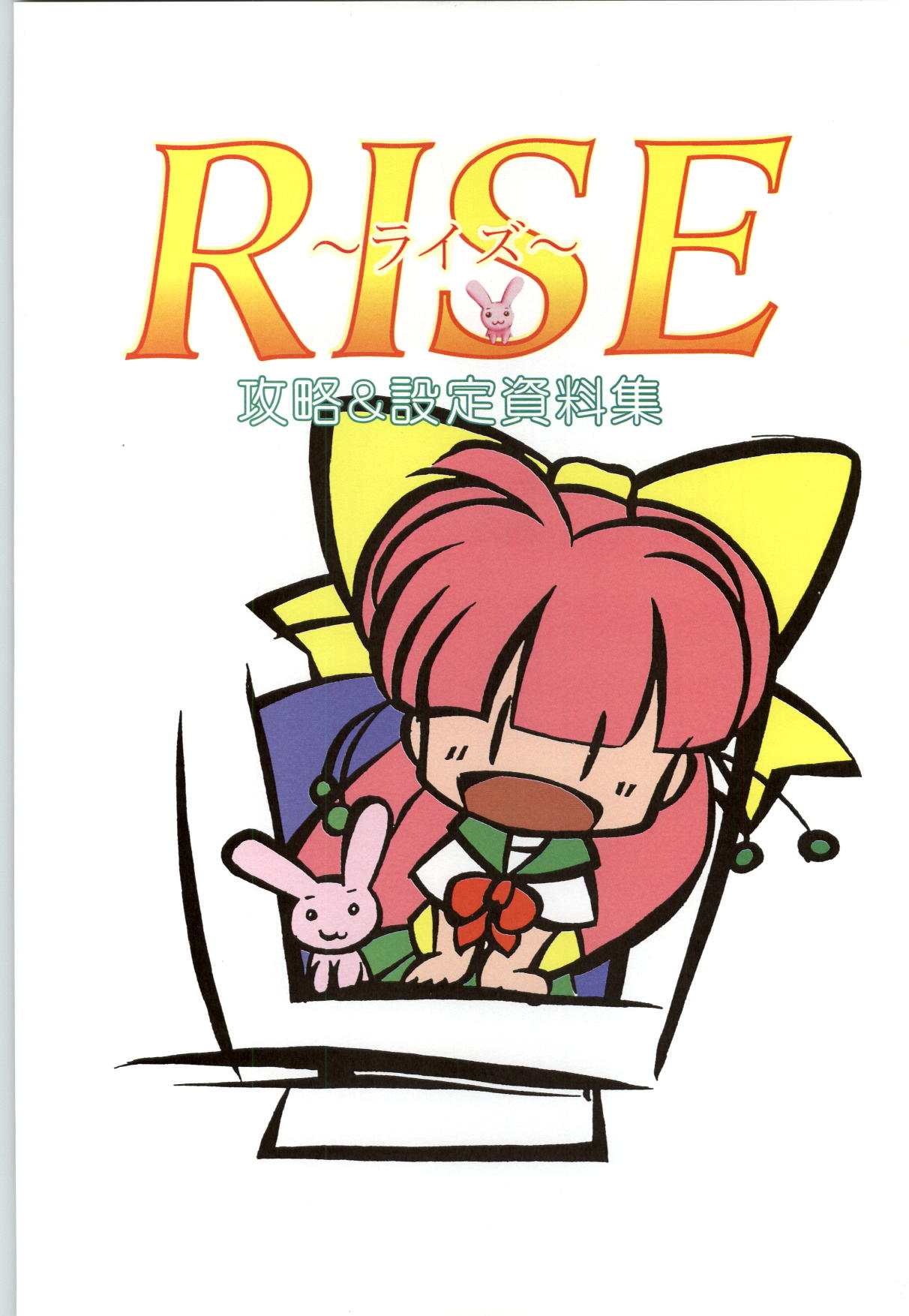 RISE Capture &amp; Materials page 2 full