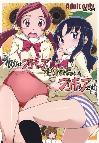 Minna wa Precure. Seitokaichou mo Precure desu! cover