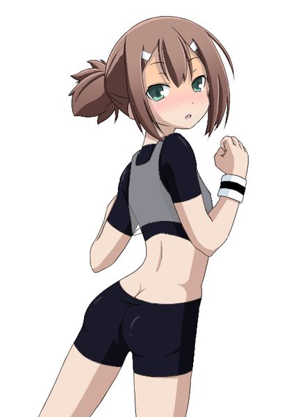 Kinoshita Hideyoshi page 6 full