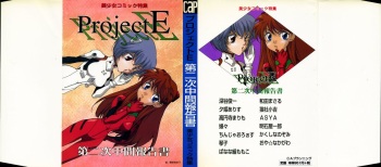 ProjectE Dainiji Chuukanhoukoku cover