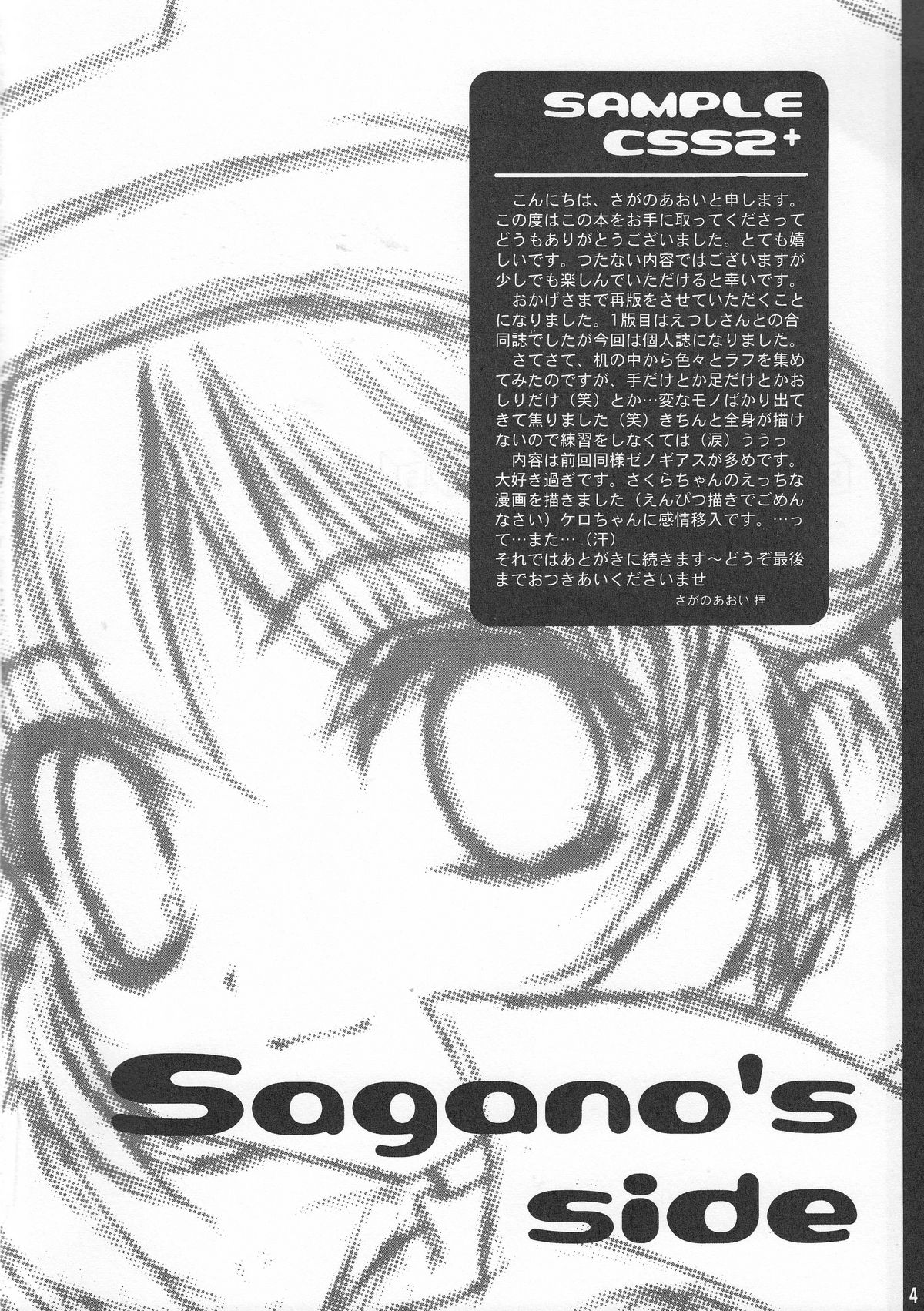 - SAMPLE-CSS2 page 6 full